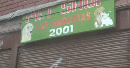 PET SHOP LAS MASCOTAS 2001 PET SHOP LAS MASCOTAS 2001